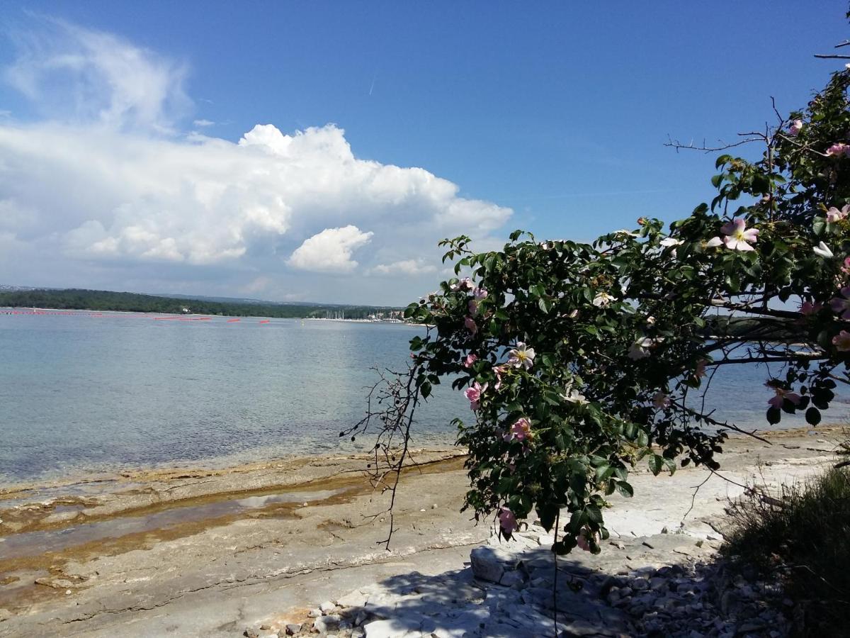 Apartmán Dom Loron Poreč Exteriér fotografie