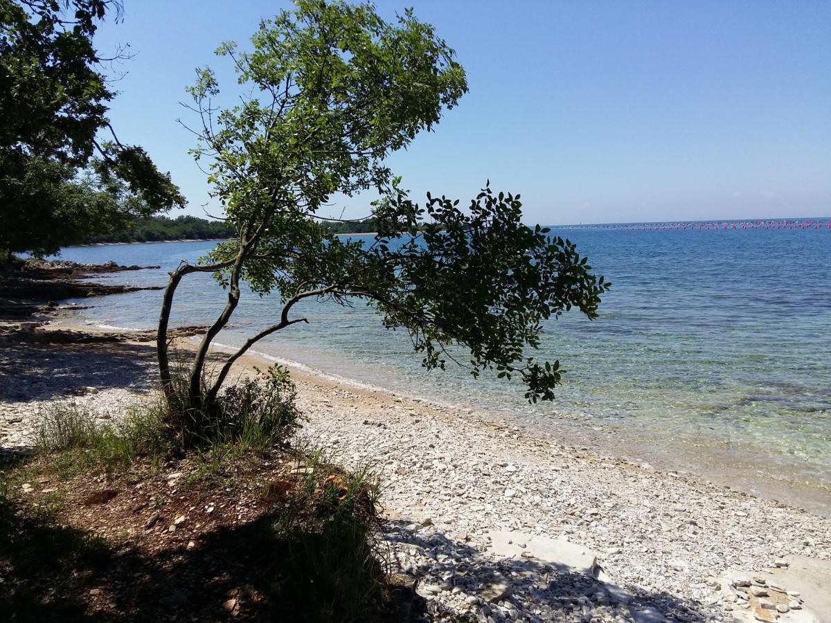 Apartmán Dom Loron Poreč Exteriér fotografie