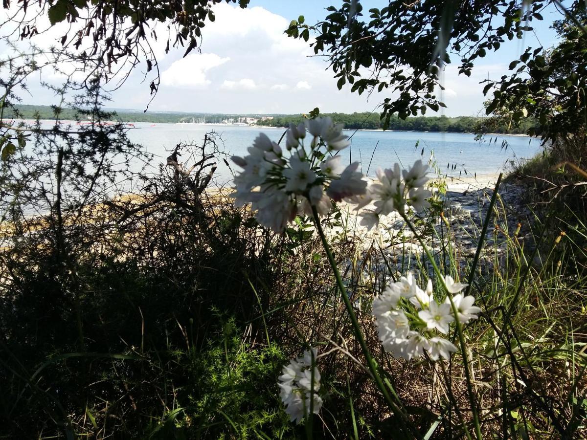Apartmán Dom Loron Poreč Exteriér fotografie